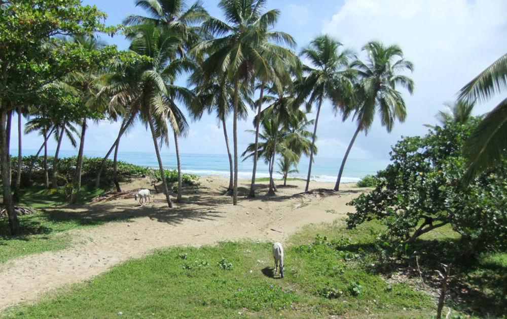 Brisas Doradas Cabarete Buitenkant foto